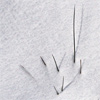 &copy Christian Stolze